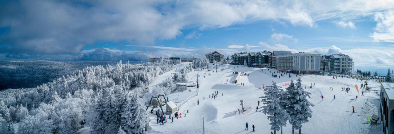 Stroll To Slopes, Village Area, Ski In-Out Mtlodge 333 斯诺肖 外观 照片